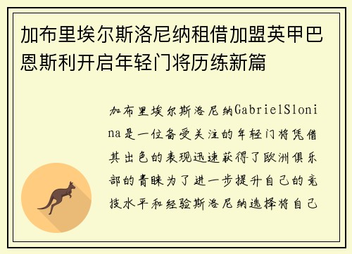 加布里埃尔斯洛尼纳租借加盟英甲巴恩斯利开启年轻门将历练新篇